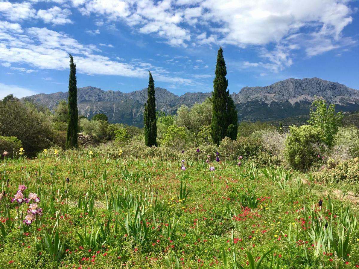 Apartment Vistamar 1 Cumbre del Sol Εξωτερικό φωτογραφία
